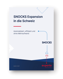 SNOCKS-Case-Study-EN-preview